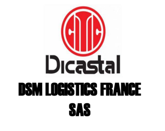 DSM logistics france