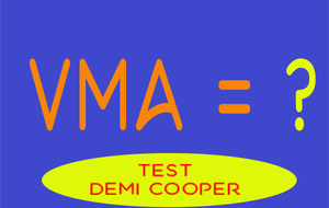 LA VMA : C'EST QUOI ?