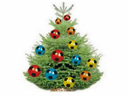 ARBRE DE NOEL ECOLE DE FOOT MERCREDI 20 12 2017