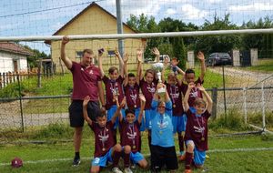 LES U11 DU FCGL REMPORTE DE LE TOURNOI DE HVDO