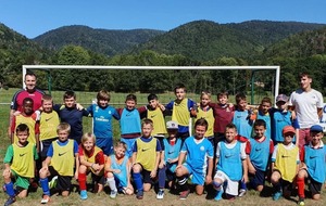 Renouvellement licences