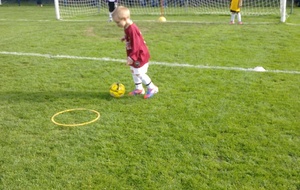 Plateau U7 20/10/12