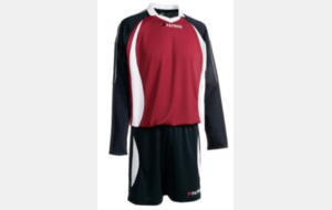 MALAGA MANCHES LONGUES FC GIRO-LEPUIX
Prix de vente : 10 euros