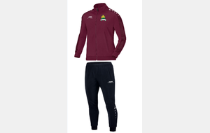 5804c5de12968_SURVETEMENTSTRICKER.png