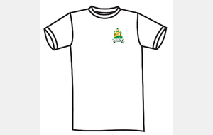 TSHIRT BLANC FC GIRO-LEPUIX
Prix de vente : 