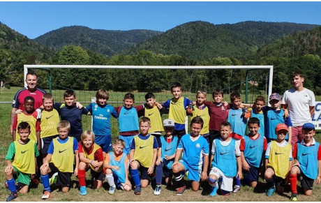 Renouvellement licences