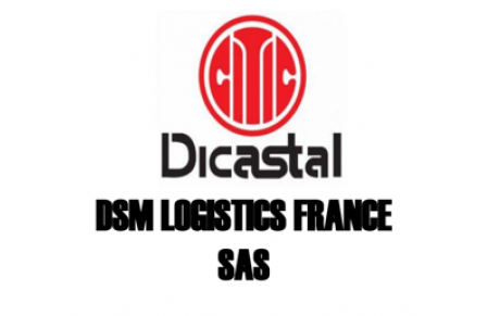 DSM logistics france